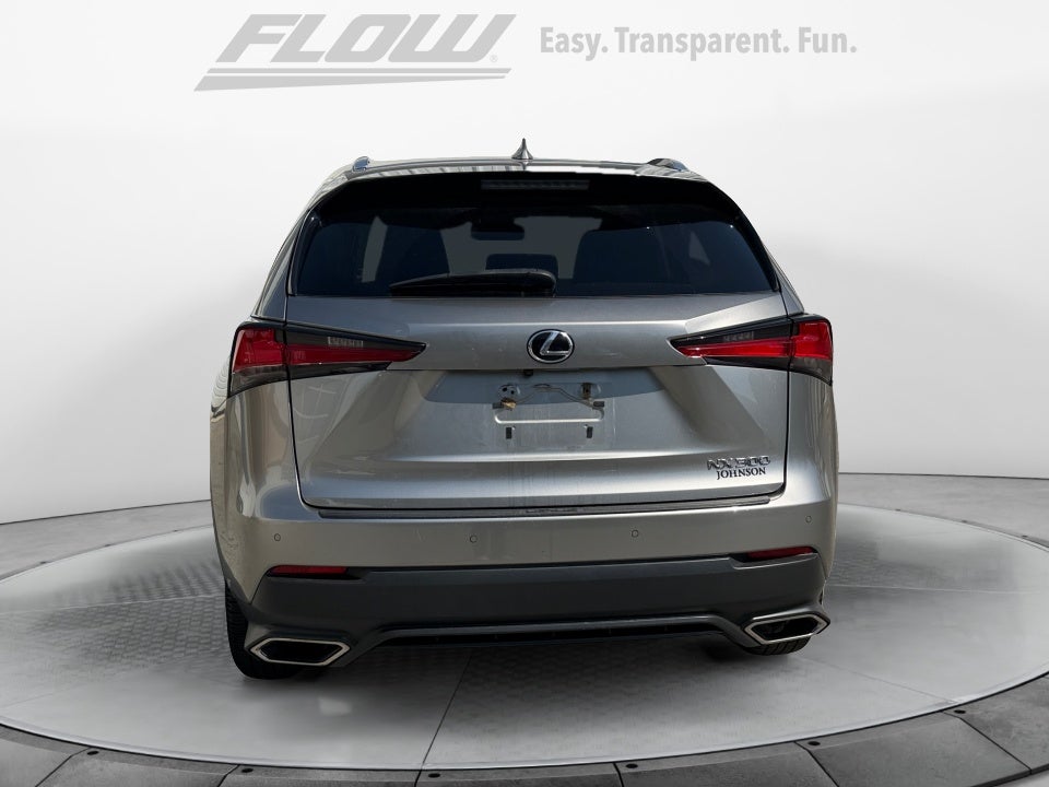 2019 Lexus NX 300 NX 300